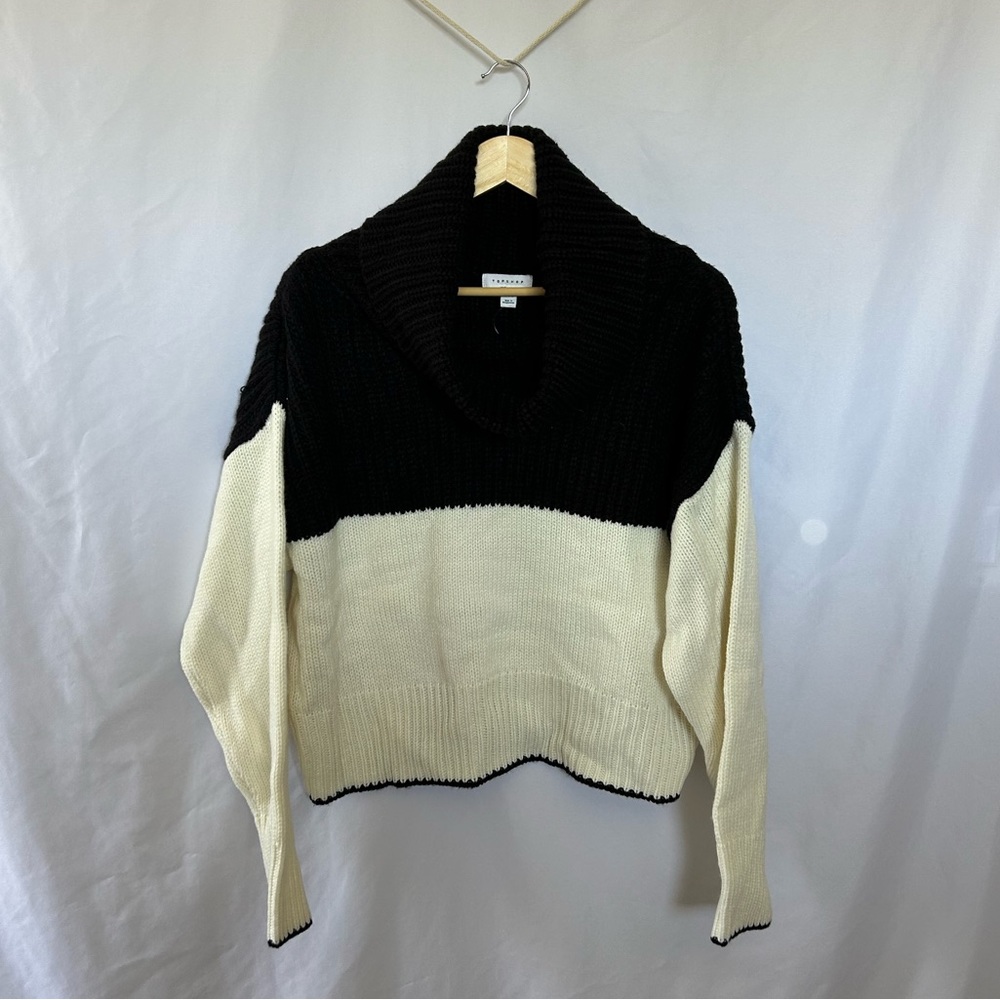 Topshop Chunky Turtleneck Sweater